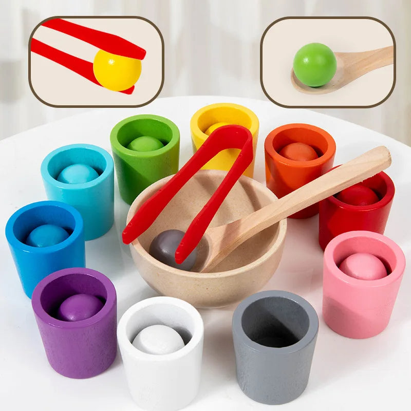 Montessori Balls in Cups