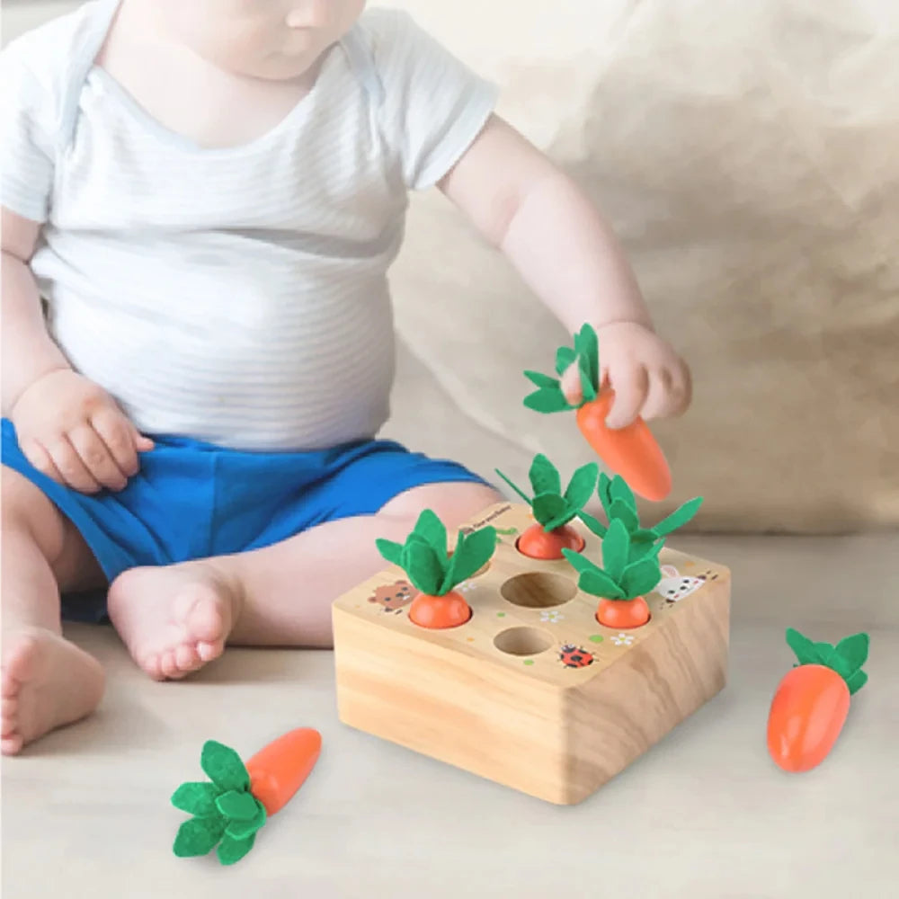 Montessori Wooden Carrot Game