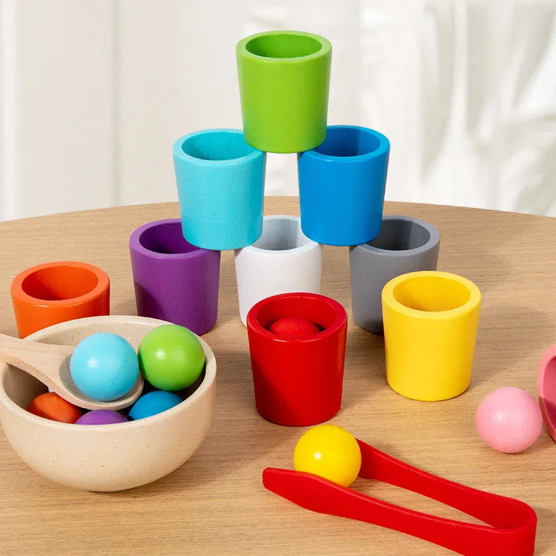 Montessori Balls in Cups