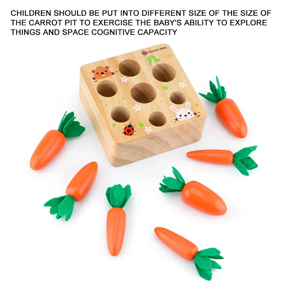 Montessori Wooden Carrot Game