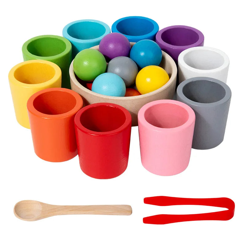 Montessori Balls in Cups