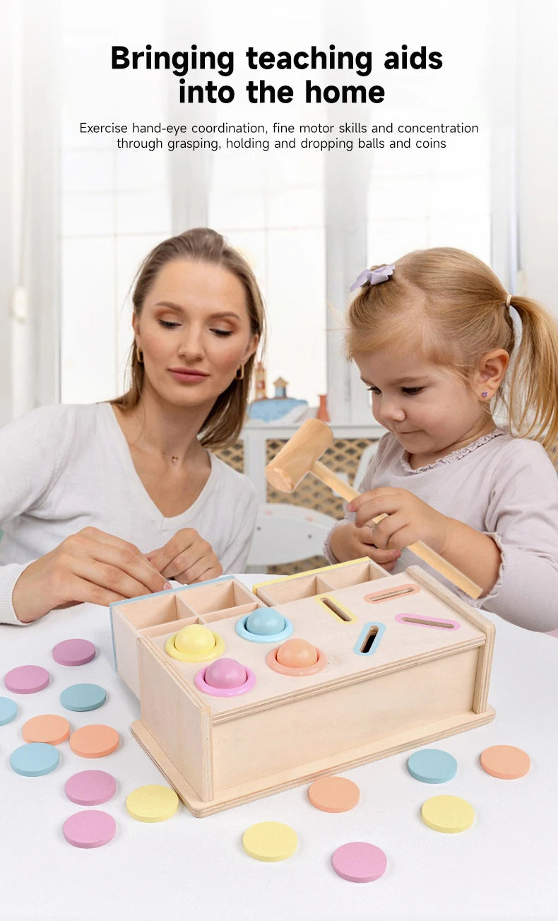 Montessori Wooden Early Learning Coin